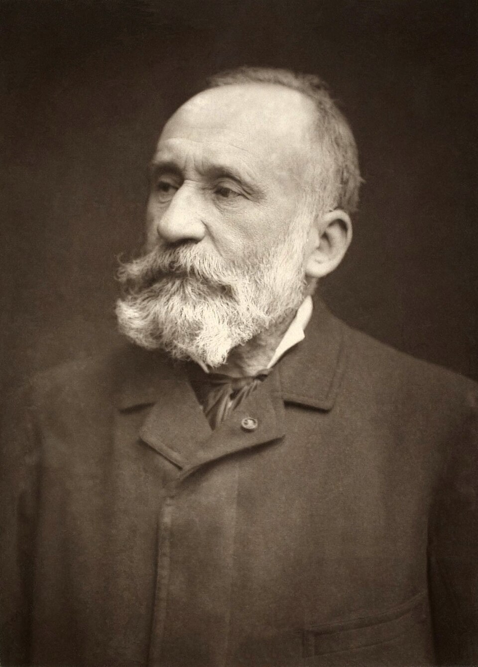 pierre cécile puvis de chavannes bnf gallica
